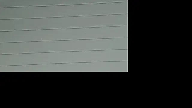 Tigrao18m online show from May 2026 11:42:01 PM