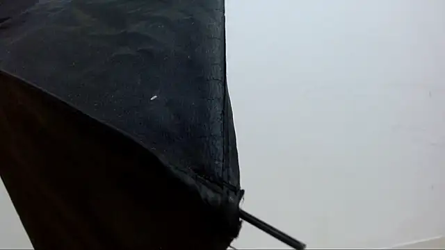 alejandrofoxnoir18 online show from April 2026 05:17:01 PM