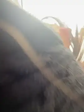 AlmaSajor  online show from April 2026 01:17:02 PM