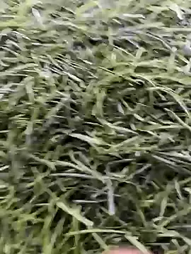 X-boy-11 online show from April 2026 08:59:01 AM