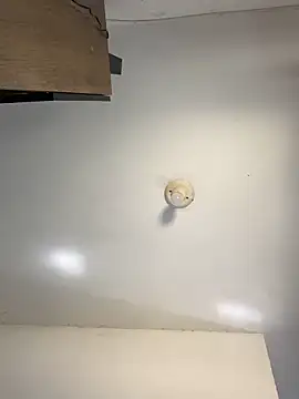 sanches 065 online show from April 2026 04:52:01 PM