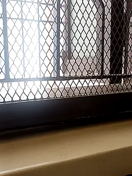 billboyhoney online show from April 2026 08:36:02 AM