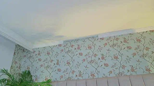 VegaSara online show from April 2026 08:20:02 PM