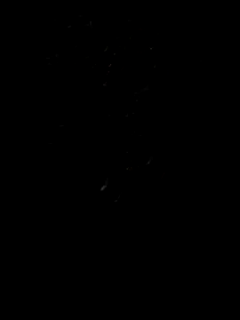 Rocky pune online show from April 2026 01:55:02 PM