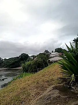 rogeriobastospqdt online show from April 2026 07:41:01 PM