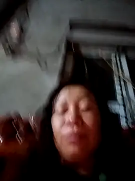 Snapshot of _Jini_ chatting on May 2026 03:17:01 PM Jini online show from May 2026 03:17:01 PM