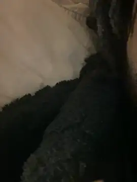 BBCboy365 online show from April 2026 10:48:01 PM