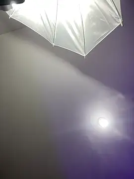 AMARA21 online show from April 2026 12:50:02 PM