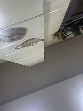 Snapshot of Alisha_Queen55 chatting on June 2026 11:05:02 PM Alisha Queen55 online show from June 2026 11:05:02 PM