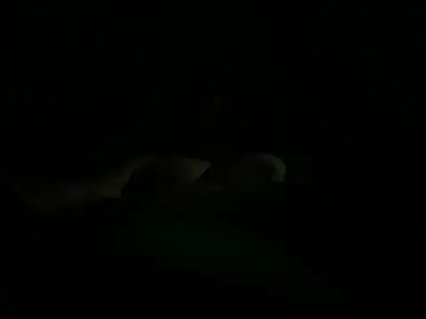 hunglikemeee online show from April 2026 01:17:02 AM