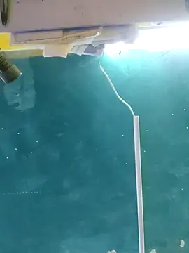 maicol6699 online show from April 2026 04:52:01 AM