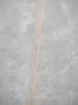 maicol6699 online show from April 2026 03:06:02 AM