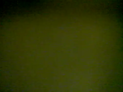 LunjeSA online show from June 2026 08:31:02 AM