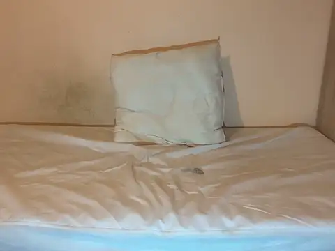 Snapshot of crazytranny chatting on January 2025 09:24:01 PM crazytranny online show from January 2025 09:24:01 PM