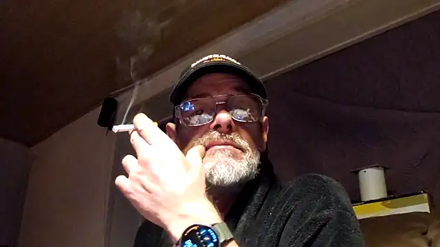 Stillefugl online show from May 2026 03:01:01 AM