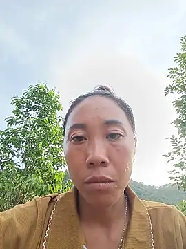 Jinli 01 online show from June 2026 10:42:01 AM