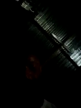 Camodick online show from March 2026 10:53:01 PM