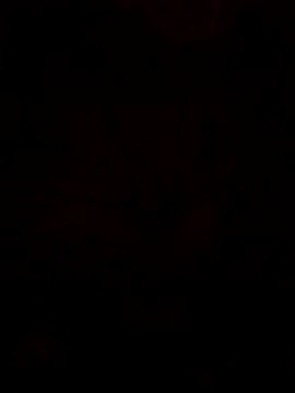 Snapshot of LonesomeMegawatt chatting on May 2026 12:58:01 PM LonesomeMegawatt online show from May 2026 12:58:01 PM