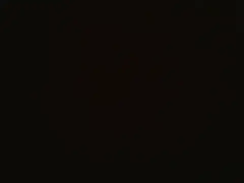 Snapshot of Dixie_driver1 chatting on May 2026 11:04:02 AM Dixie driver1 online show from May 2026 11:04:02 AM