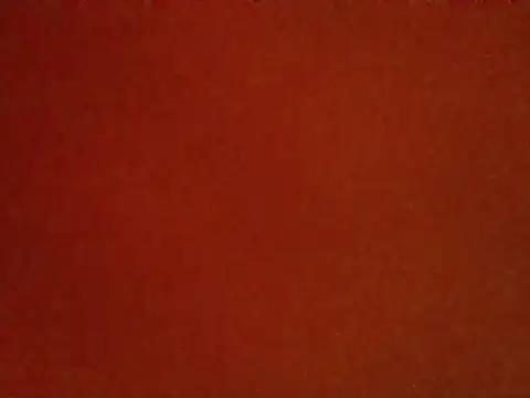 Snapshot of StarBelle chatting on May 2026 05:04:01 AM StarBelle online show from May 2026 05:04:01 AM