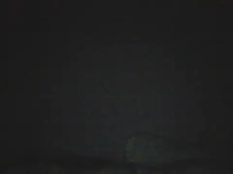 xoxobarbie2 online show from May 2026 10:41:02 PM