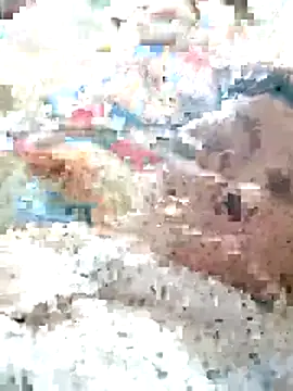 Snapshot of Orio-baby chatting on May 2026 08:10:02 PM Orio-baby online show from May 2026 08:10:02 PM