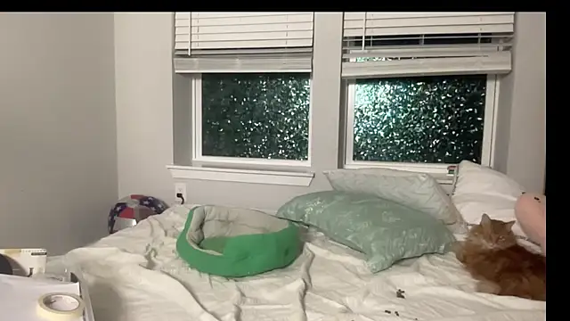 Snapshot of maddiliz chatting on September 2025 01:49:01 AM maddiliz online show from September 2025 01:49:01 AM