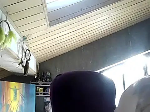 SpaceJet 0Novolyn online show from June 2026 02:32:01 PM