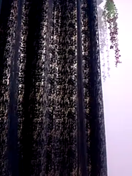Amara254 online show from July 2026 06:04:02 AM