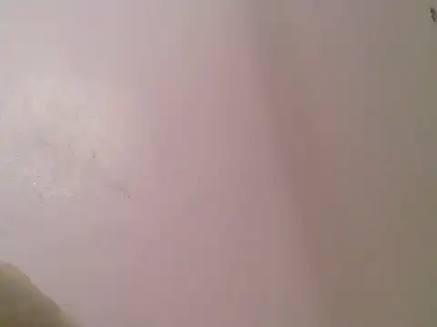 cute bee online show from June 2026 05:35:02 PM