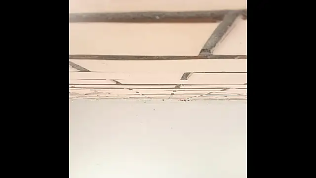IronicBuckle online show from July 2026 03:23:01 AM
