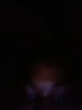 SalutedNonsense online show from June 2026 11:36:02 AM