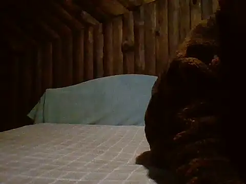 Thiago model online show from July 2026 08:41:01 AM