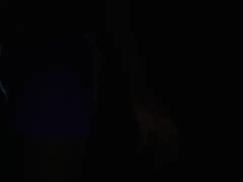 jwelbae online show from August 2026 01:13:02 PM