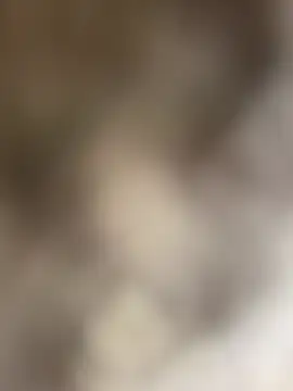 Snapshot of jonnywalker030 chatting on July 2026 04:49:02 PM jonnywalker030 online show from July 2026 04:49:02 PM