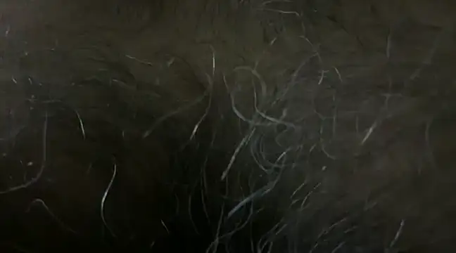 SatBull007 online show from January 2025 06:10:01 PM