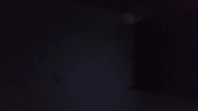 Taz balls online show from July 2026 05:13:02 AM