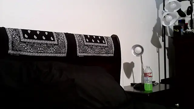 Snapshot of Rickavelli_ chatting on July 2026 03:29:02 PM Rickavelli online show from July 2026 03:29:02 PM