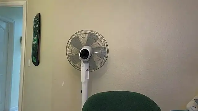 brotein369 online show from February 2026 11:23:02 PM