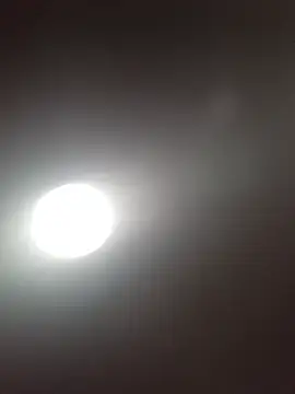 misskyyti online show from July 2026 07:38:01 PM