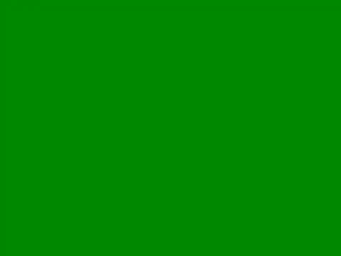 Perk S online show from August 2026 09:00:01 AM