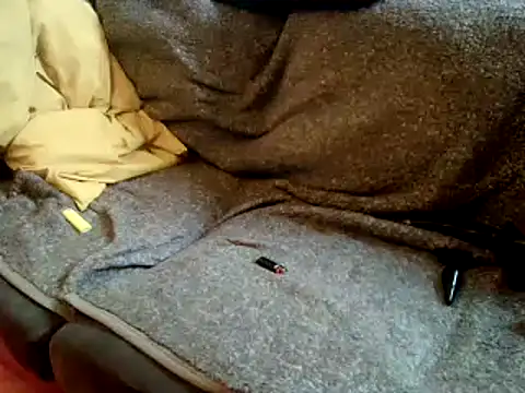 Snapshot of Truganini1 chatting on December 2024 08:27:02 AM Truganini1 online show from December 2024 08:27:02 AM