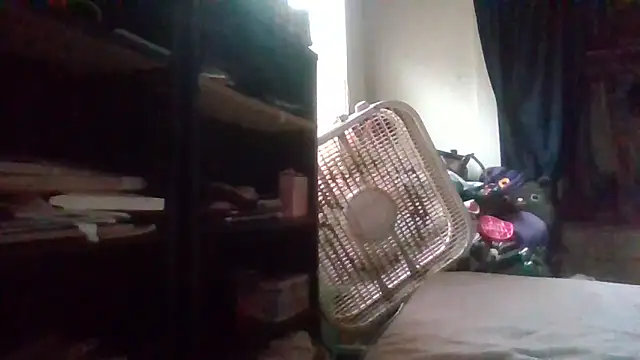 starlight1983 online show from April 2026 11:47:01 AM