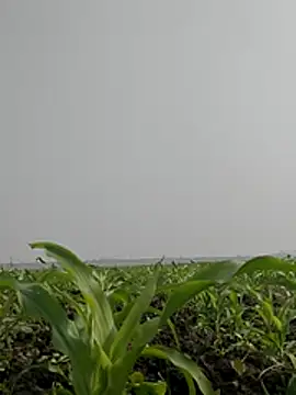 ThethunderPo online show from February 2026 06:51:01 AM