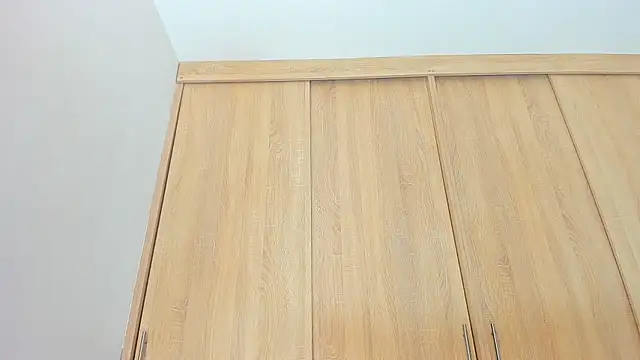 Austin Bitch online show from February 2025 03:31:02 PM