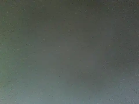 Snapshot of lonelycock33 chatting on June 2026 09:25:02 PM lonelycock33 online show from June 2026 09:25:02 PM