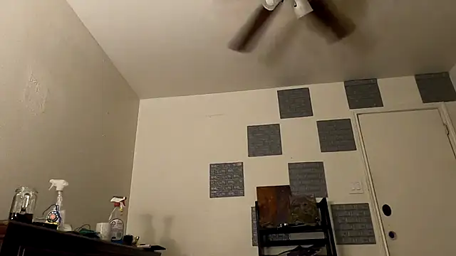 Snapshot of TheDaisyChaos chatting on March 2025 01:27:02 AM TheDaisyChaos online show from March 2025 01:27:02 AM