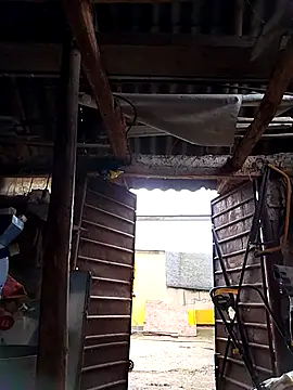 sarpe4 online show from October 2025 05:27:01 AM