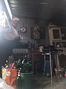 sarpe4 online show from February 2026 02:58:02 PM