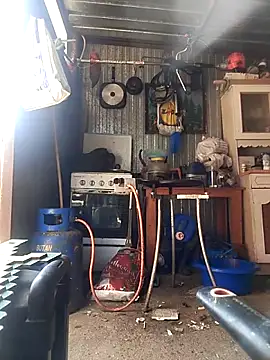 sarpe4 online show from April 2026 09:15:01 AM